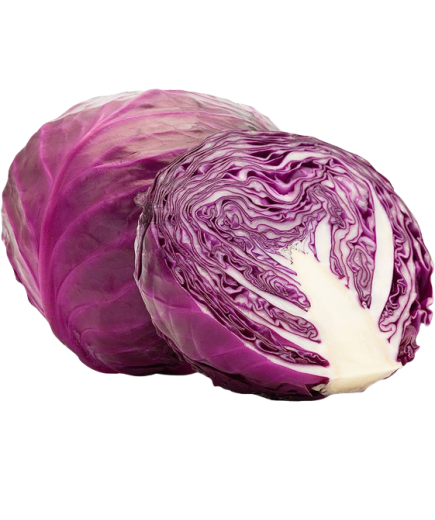 LOMBARDA FILMADAS X KG