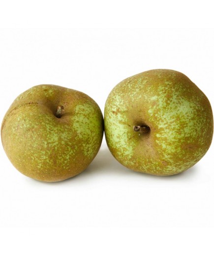 FRUTA MANZANA REINETA 1ª x kg