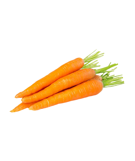 ZANAHORIA EXTRA GRANEL X KG