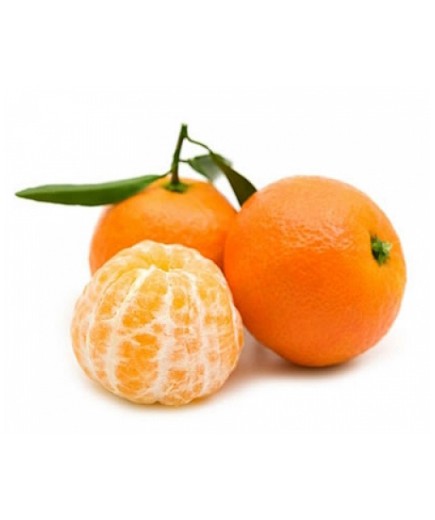 FRUTA MANDARINA Chupi/BEGASITA x kg