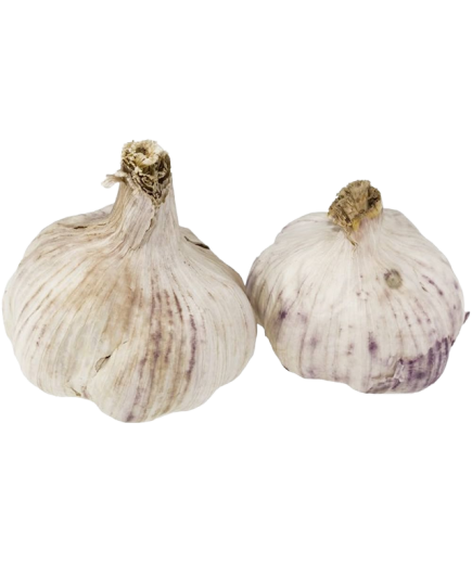 AJO JUMBO CABEZAS X KG