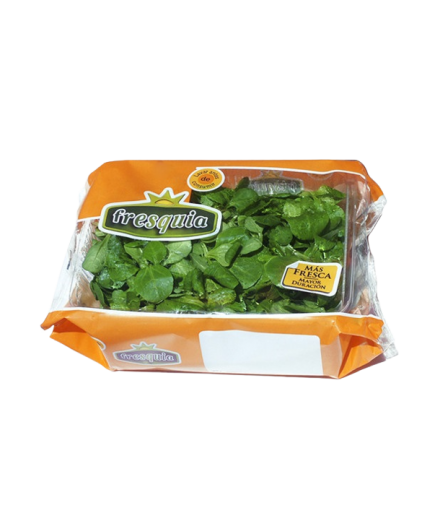 CANONIGOS FRESQUIA B/100 GR