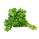 CILANTRO MANOJO