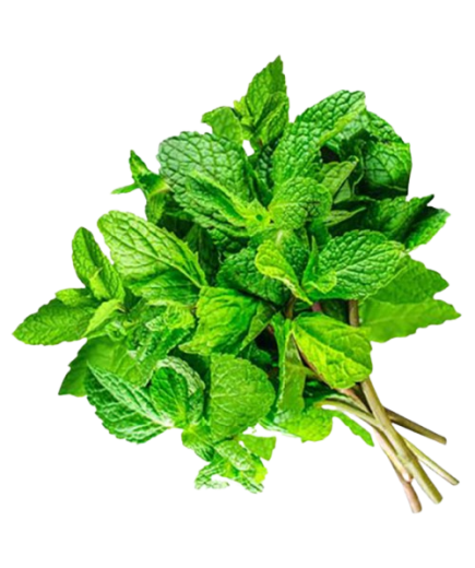 MENTA NATURAL MANOJO