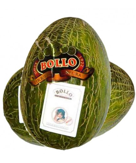 MELON BOLLO X KG