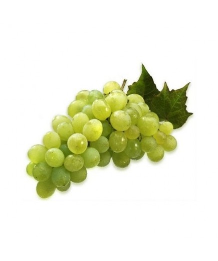 UVA BLANCA VICTORIA - ALEDO  KG
