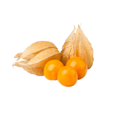 ARCAGERGES PHYSALIS BANDEJA 100 GR