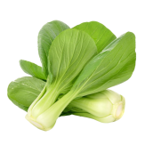 PAK CHOY (COL-CHINA) X KG