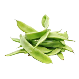 JUDIA VERDE EXTRA FRESCA X KG