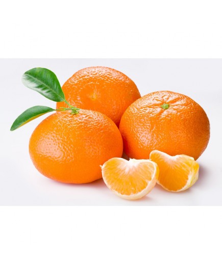 FRUTA MANDARINA NADORCOTT x kg