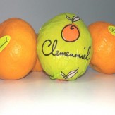 FRUTA MANDARINA Clemenule-tango x kg