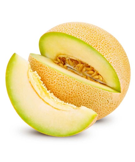 MELON GALIA X KG