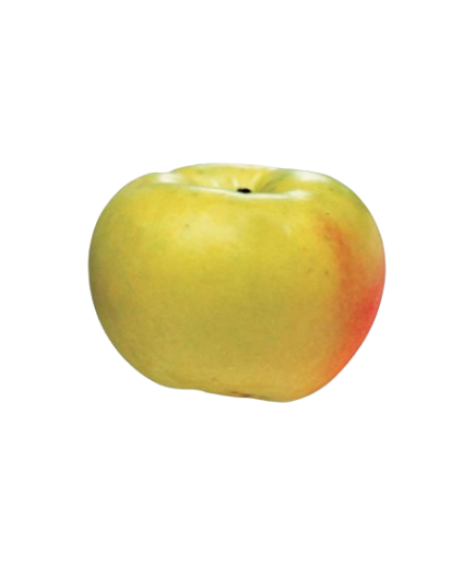 MANZANA VERDEDONCELLA 1ª X KG