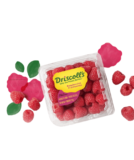 FRUTA FRAMBUESA Driscolls est/125 gr