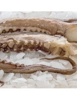 PULPO FRESCO X PIEZAS+4.KG PVP.X.KG