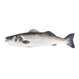 LUBINA AQUANARIA+1 A1.50.KG.PVP.X.KG