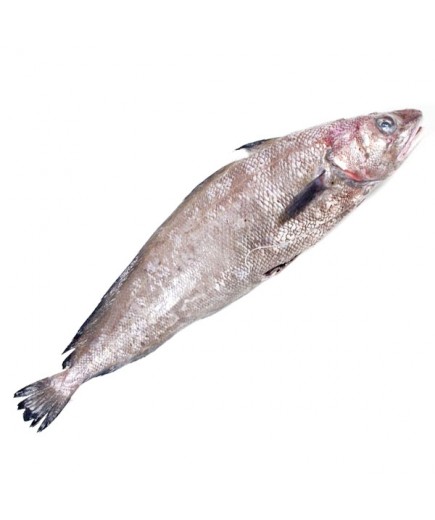 BERTORELLA-BROTOLA-ROSADA.X. KG.