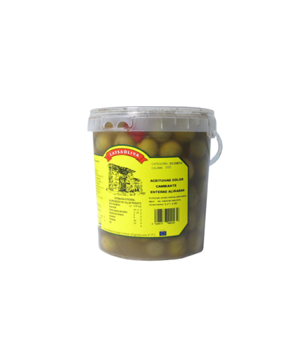 ACEITUNAS ALIÑADAS C/CAMBIANTE HURDES G/4 KG