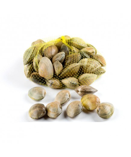 ALMEJA  JAPONICA FRESCA.PVP.X.KG