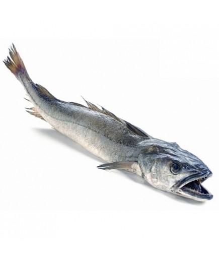 MERLUZA VOLANTA.2-+3.KG.PVP.X.KG