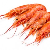 GAMBA BLANCA COCIDA 60/80.SERP.X KG.