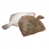 RODABALLO FRESCO CULTIVO MARINO 1-2.X KG.