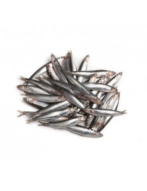 BOQUERON-BOCARTE.ANCHOA FRESCO PVP.X.KG