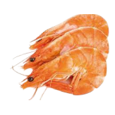 LANGOSTINO COCIDO 20-30 SERPESCA PVP.KG