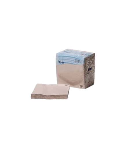 SERVILLETA 40X40 "GC" 2/C NATURE  P&P  PAQ/100 UD