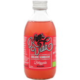 REFRESCO KOMBUCHA FRUTOS ROJOS ECO B/250ML