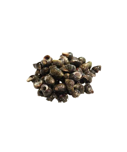 BIGAROS COCIDO JUMBO CONG.PVP.X.KG.