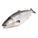 SALMON FRESCO ENTERO PIEZA+6/10.PV.KG