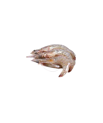LANGOSTINO CRUDO 42/56 CORAL X KG.