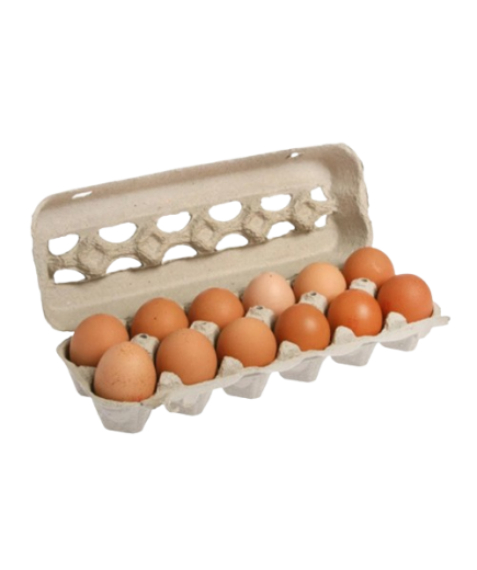 HUEVOS CASCARA ROJO "XL" ESTUCHE 12 UD