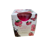 VELA AMBIENTADOR VASO SATINADO FRUTA BOSQUE UD