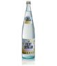 AGUA CON GAS VICHY CATALAN  B/1 L